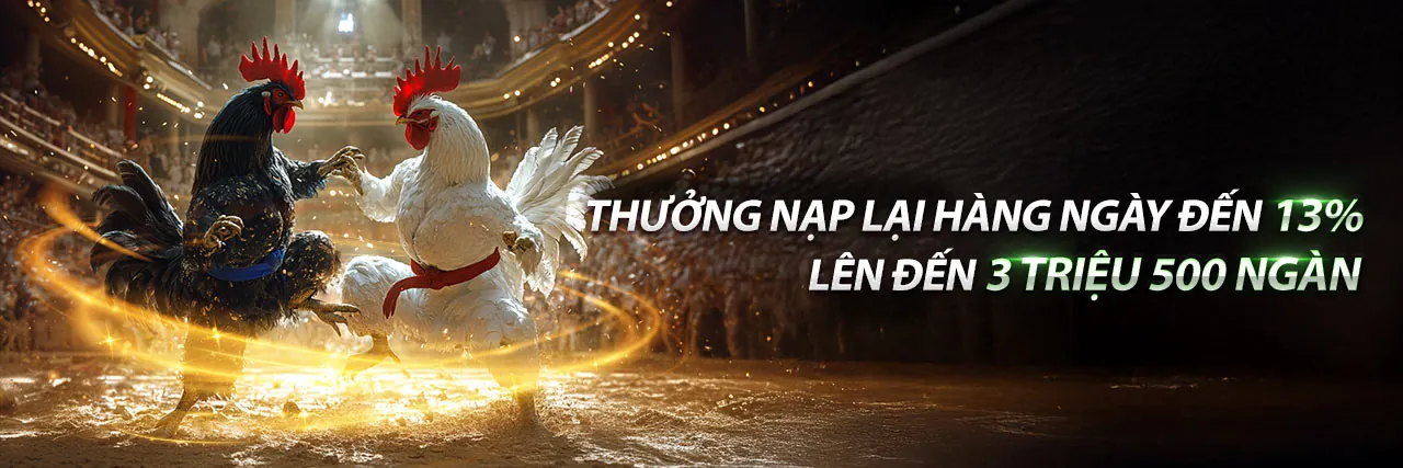 Đội ngũ bigboss khuyến mãi và tầm nhìn của chúng tôi