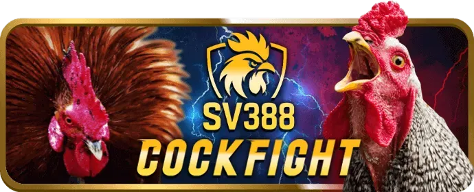 Cá cược thể thao tại bigboss khuyến mãi